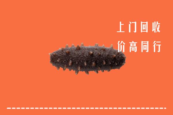 太原市回收海参